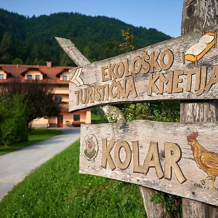 Вілла Tourist Farm Kolar Ljubno Екстер'єр фото
