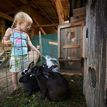 Вілла Tourist Farm Kolar Ljubno Екстер'єр фото