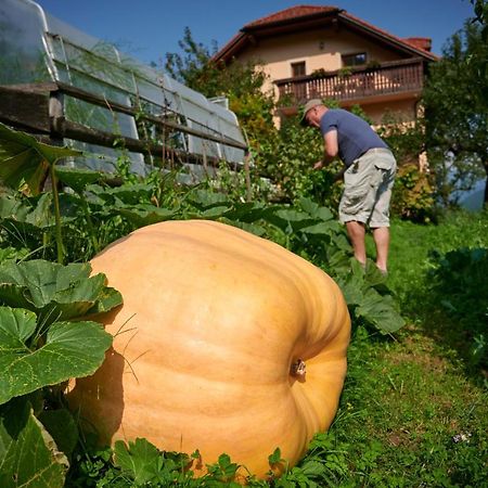 Вілла Tourist Farm Kolar Ljubno Екстер'єр фото