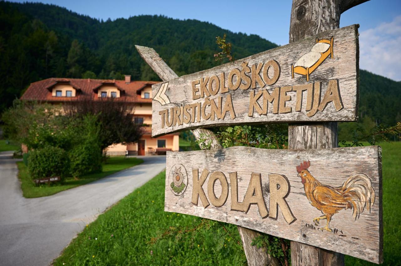 Вілла Tourist Farm Kolar Ljubno Екстер'єр фото