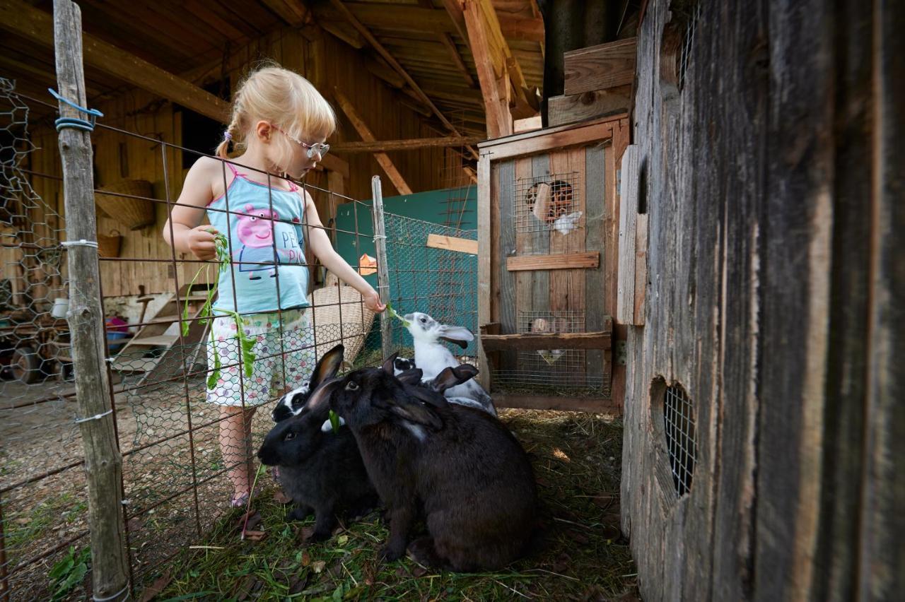Вілла Tourist Farm Kolar Ljubno Екстер'єр фото