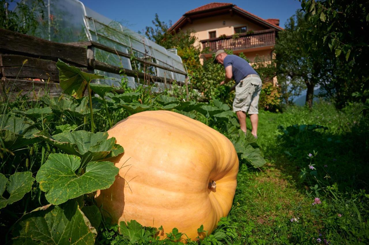 Вілла Tourist Farm Kolar Ljubno Екстер'єр фото