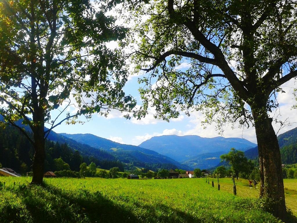 Вілла Tourist Farm Kolar Ljubno Екстер'єр фото