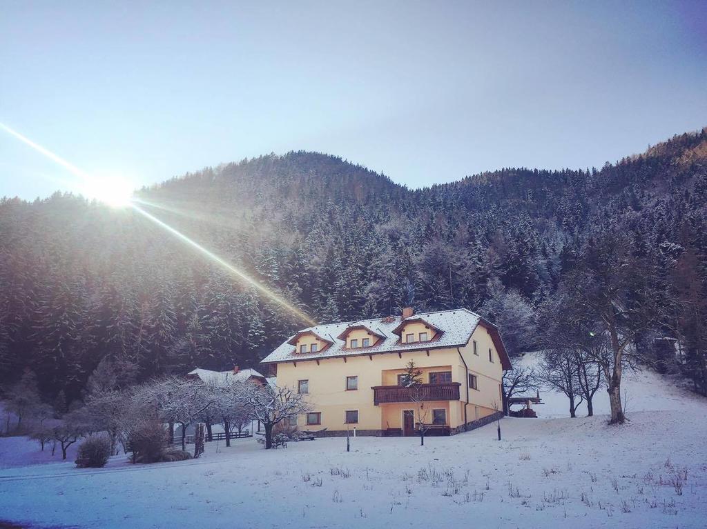 Вілла Tourist Farm Kolar Ljubno Екстер'єр фото