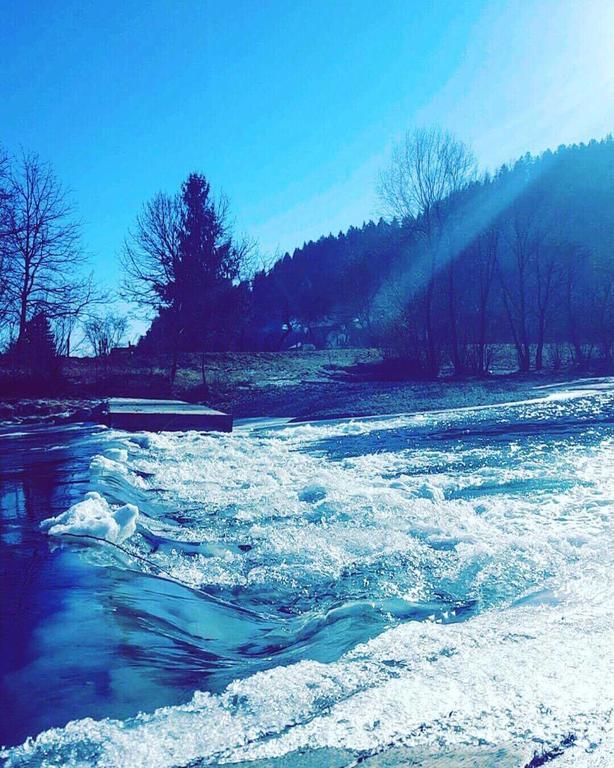 Вілла Tourist Farm Kolar Ljubno Екстер'єр фото